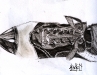 2010-02-06-153