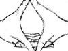 hand