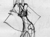 d204.jpg