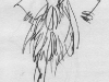 d206.jpg